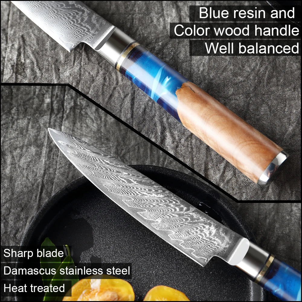 Premium 5-Inch VG10 Damascus Steel Paring Knife with Ergonomic Abalone Handle