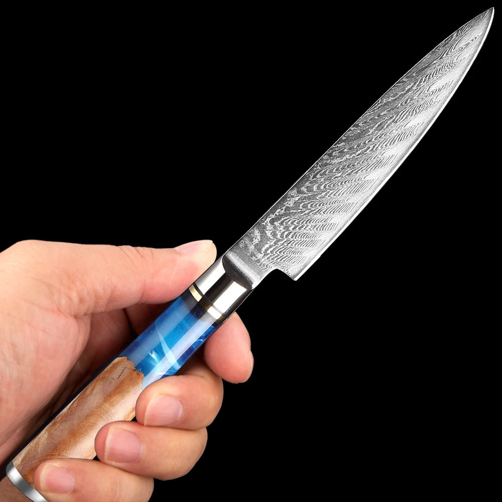 Premium 5-Inch VG10 Damascus Steel Paring Knife with Ergonomic Abalone Handle